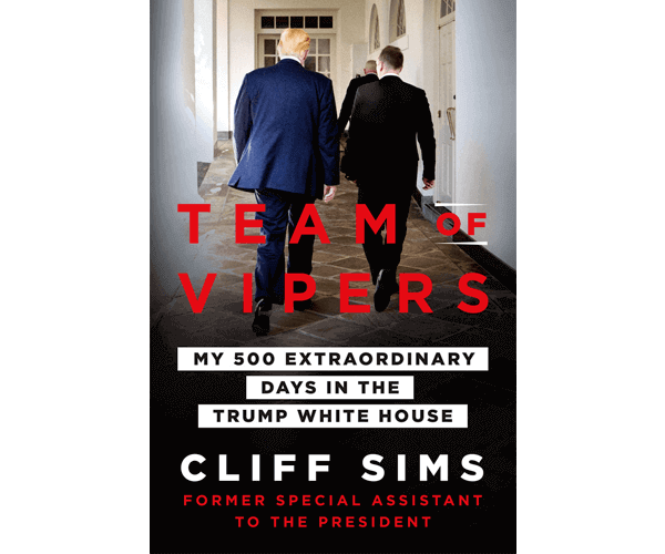 book-image-team-of-vipers-by-cliff-sims