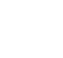 wilkow-majority-white-logo